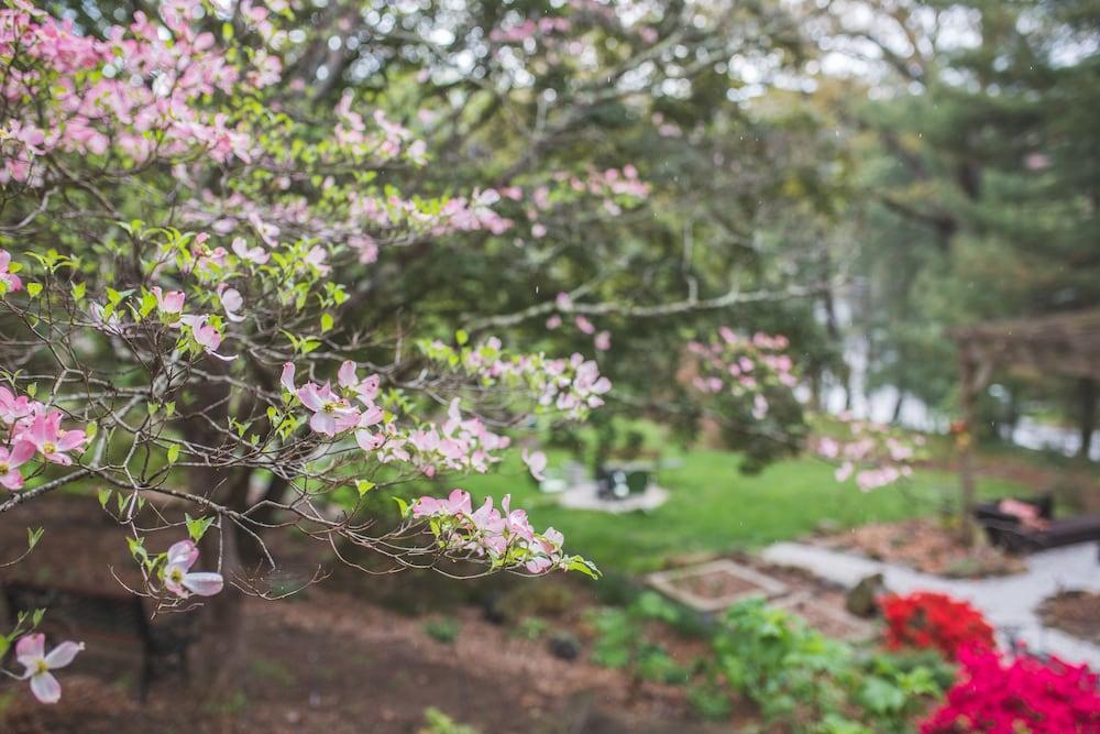 Bed and Breakfast The Applewood Manor Asheville Esterno foto
